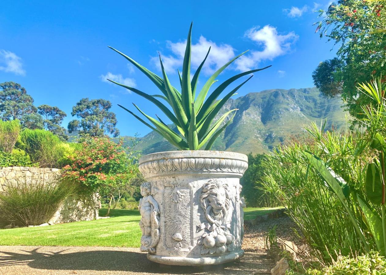The Guardian Hermanus Luxury Self-Catering Hemel En Aarde Valley Exterior foto